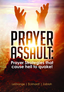 Prayer Assault ebook